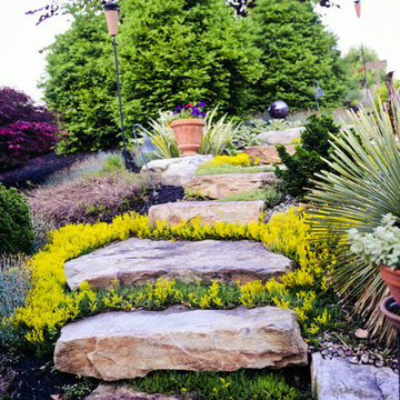 Wedding Garden