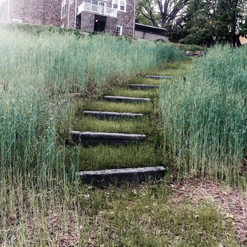 Urban Refuge
