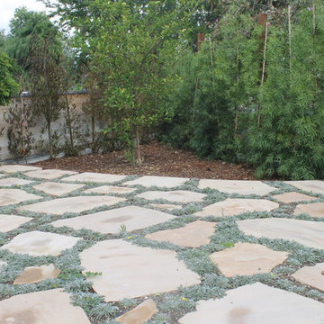 Pavers, mulch, podocarpus