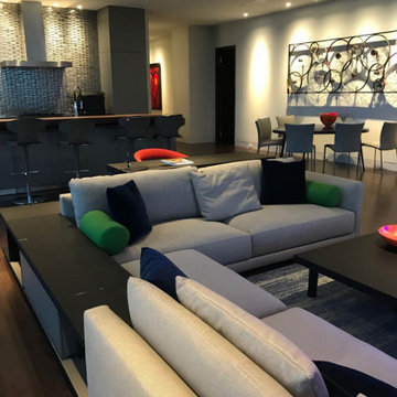 LGB Penthouse Guest Suite - DFW