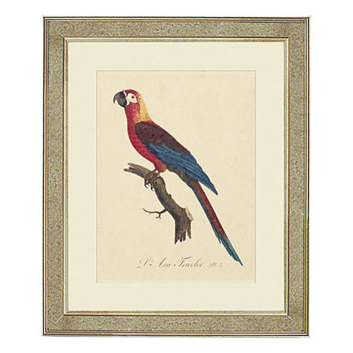 Framed bird prints