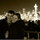 kelly_ditmars