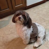 Linda Waguespack's photo