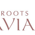 Roots Araavia's profile photo
