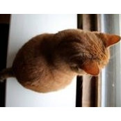 April Tabb's photo