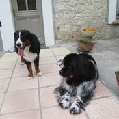 Anne Chanoine's photo