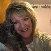 Sandra Wingard's photo
