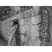 Cisi Zhao's photo