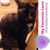 Foto von Jai Katt