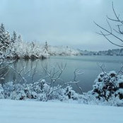 Foto von Denise Beaulieu