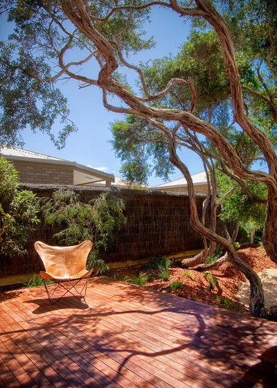 Современный Терраса by Auhaus Architecture