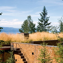Funky House Designs 2014