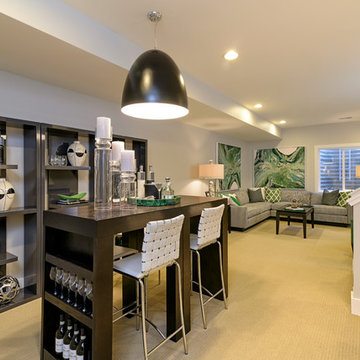 RENOVATION:: Phil's Basement in Palisades, DC