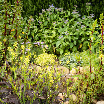Edible Landscapes