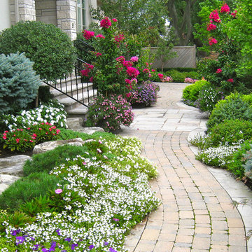Planting and Maintenance