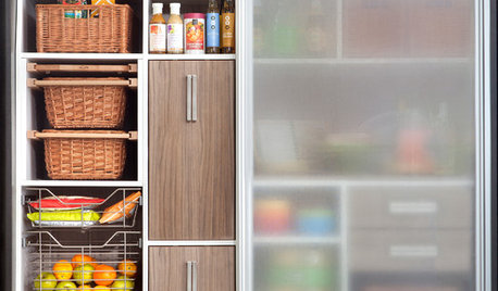 Kitchen Planning: 10 Contemporary Larders for Slick Kitchen Storage