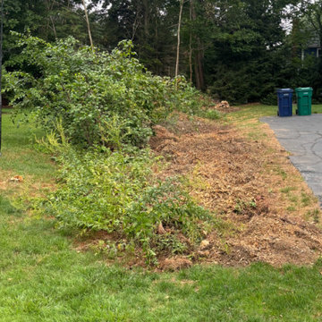 Site Preparation