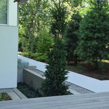Contemporary Design and Construction