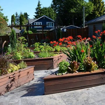 Raised Vegetable / Ornamental Garden 2015