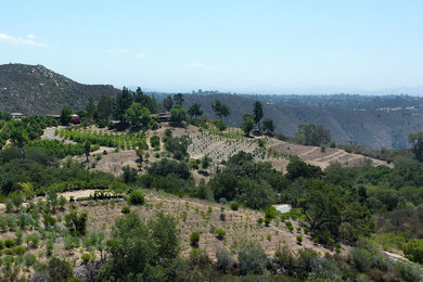Inspiration for a landscaping in San Diego.