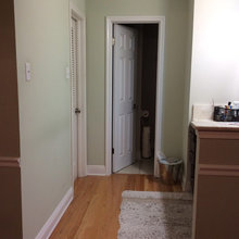 Master Bath Reno