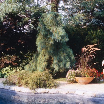 Container Plantings