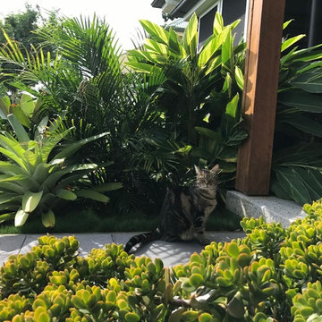 Indooroopilly Garden