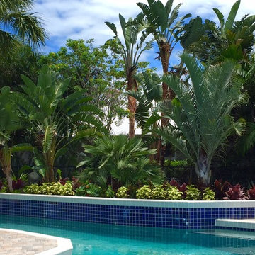 Melbourne Beach Pool Landscaping Before and After