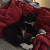 Sandra Parkes's photo