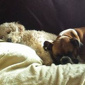 Laurie Baker's photo