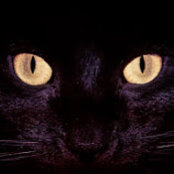 Kim Weibring's photo