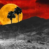 Brendan Mullen's photo