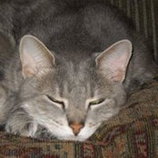 Anne McKenna's photo