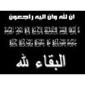Mahitab Magdy's photo