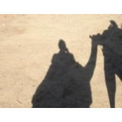 Frank Pontes's photo