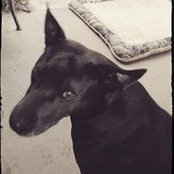 Shelley West's photo