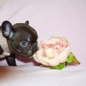 Leanne Cooper's photo