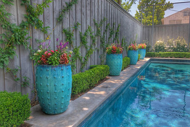 Mid-sized transitional backyard rectangular natural pool photo in Dallas