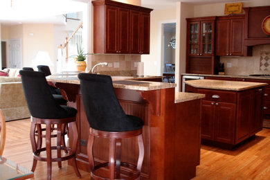 Kitchen - contemporary kitchen idea in Chicago