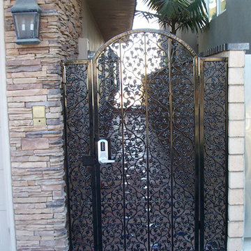 Wrought Iron Fence