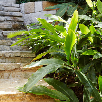 Palm Beach Clifftop Garden