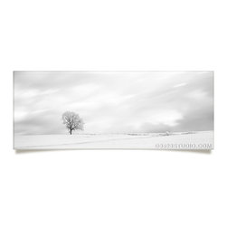 Tree Collection - Prints And Posters