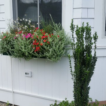 Planters & WIndow Boxes