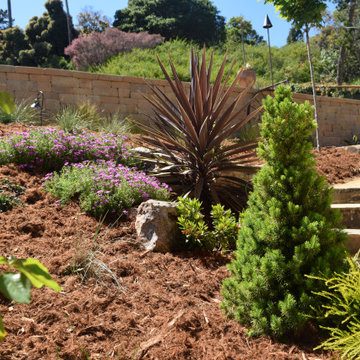 Mediterranean Backyard Transformation - Tiburon, CA