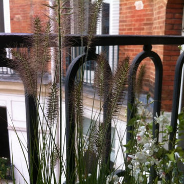 Aménagement paysager d'un mini balcon filant à Paris...