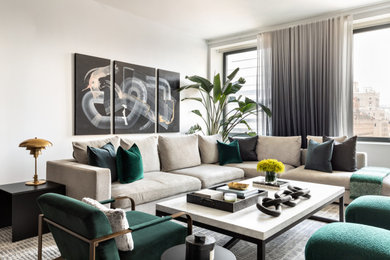 Living room - contemporary living room idea in New York