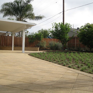 Drought Tolerant Back Yard Garden