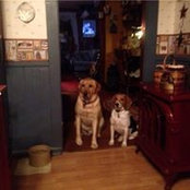 Connie Gunsallus's photo