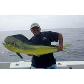 Edward Cardoos's photo