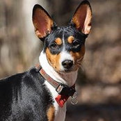 Natalia Volchenco's photo